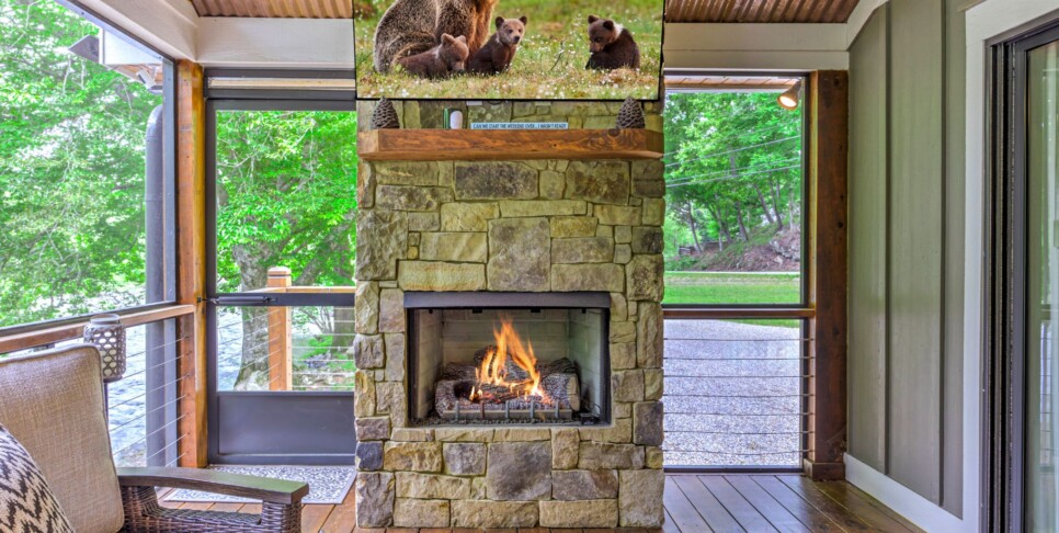 Blue Ridge Cabin - River Cottage of Blue Ridge - Exterior
