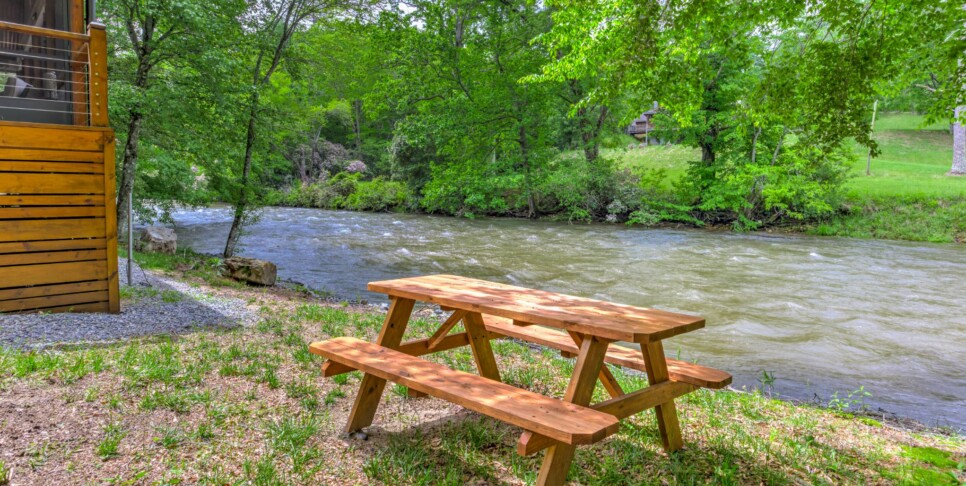 Blue Ridge Cabin - River Cottage of Blue Ridge - Exterior