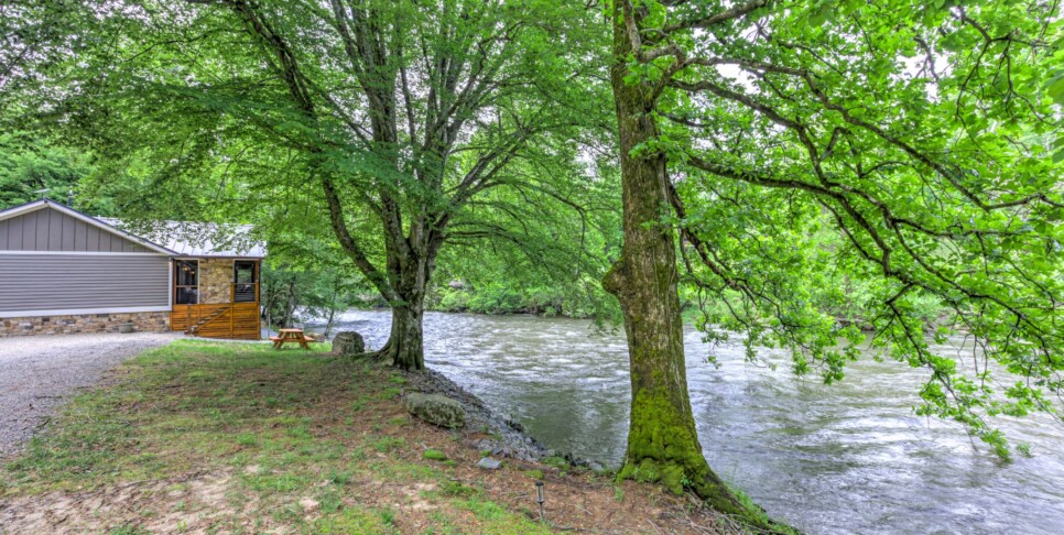Blue Ridge Cabin - River Cottage of Blue Ridge - Exterior