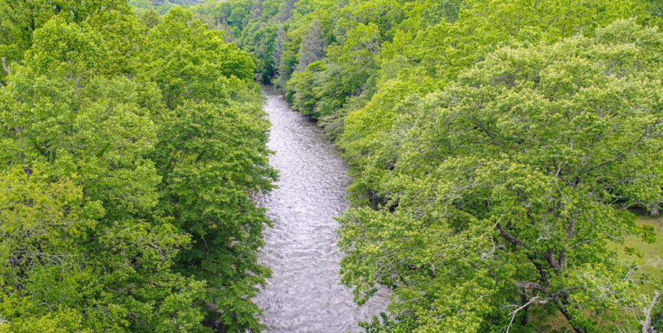 Blue Ridge Cabin - River Cottage of Blue Ridge - Exterior