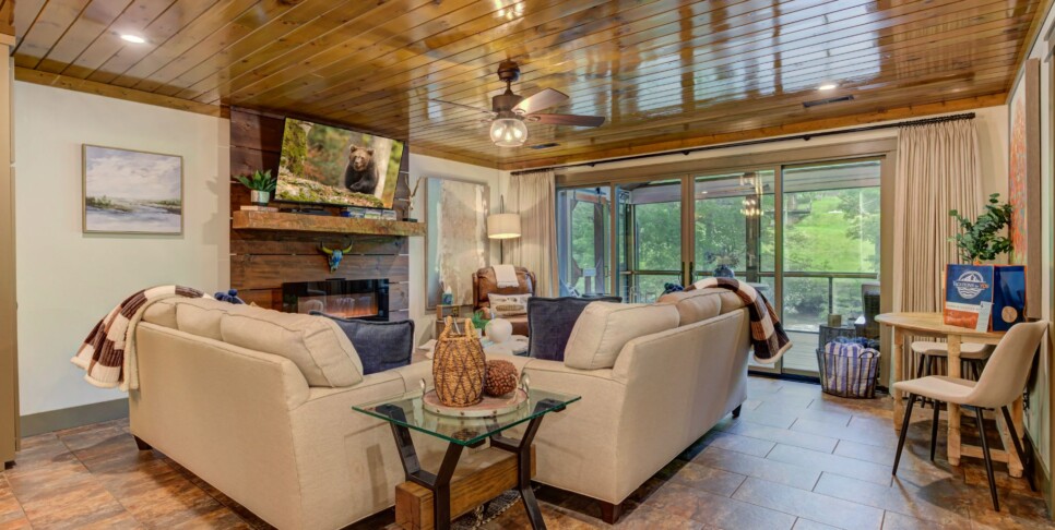 Blue Ridge Cabin - River Cottage of Blue Ridge - Living Room