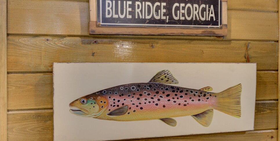 Blue Ridge Cabin - River Cottage of Blue Ridge - Living Room
