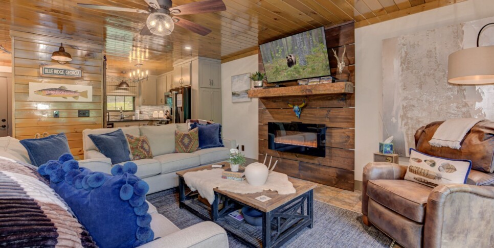 Blue Ridge Cabin - River Cottage of Blue Ridge - Living Room