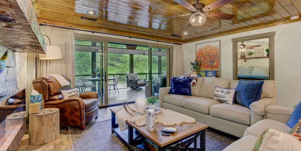 Blue Ridge Cabin - River Cottage of Blue Ridge - Living Room