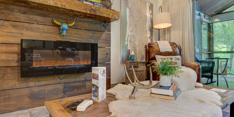 Blue Ridge Cabin - River Cottage of Blue Ridge - Living Room