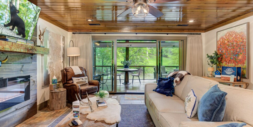 Blue Ridge Cabin - River Cottage of Blue Ridge - Living Room