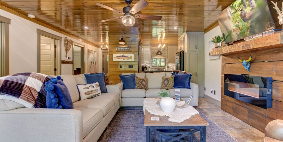 Blue Ridge Cabin - River Cottage of Blue Ridge - Living Room