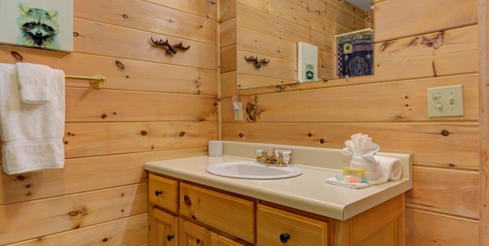 Blue Ridge Cabin - Sunrise Splendor - Bathroom