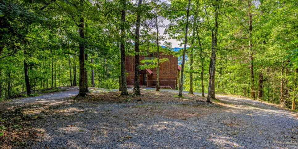 Blue Ridge Cabin - Sunrise Splendor - Exterior