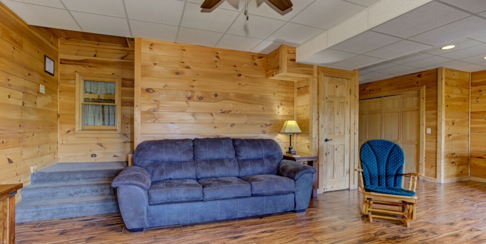Blue Ridge Cabin - Sunrise Splendor - Rec Room