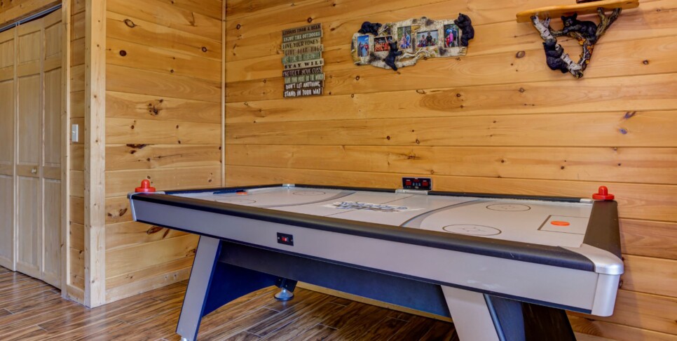 Blue Ridge Cabin - Sunrise Splendor - Rec Room