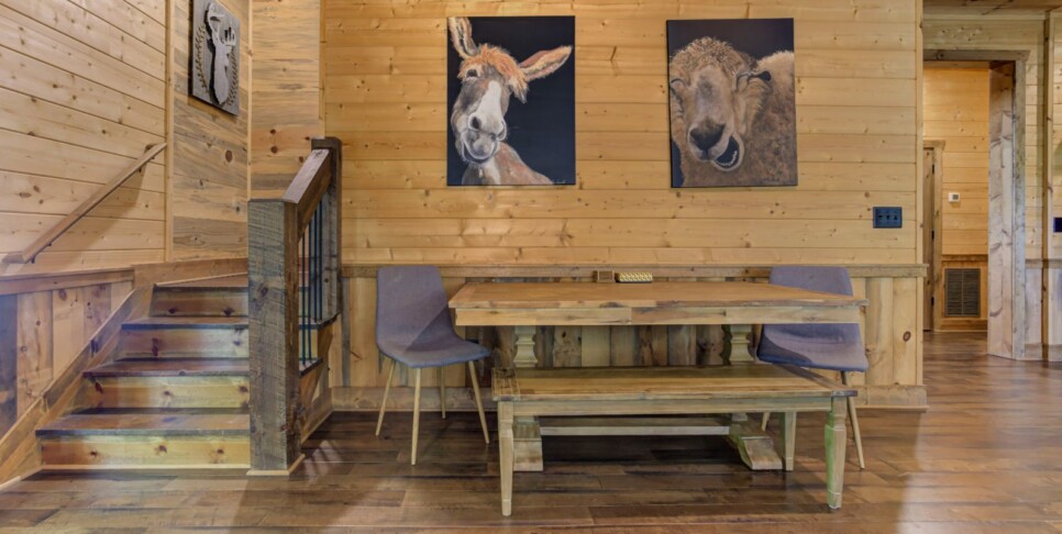 Blue Ridge - Little Creek Cabin - Rec Room