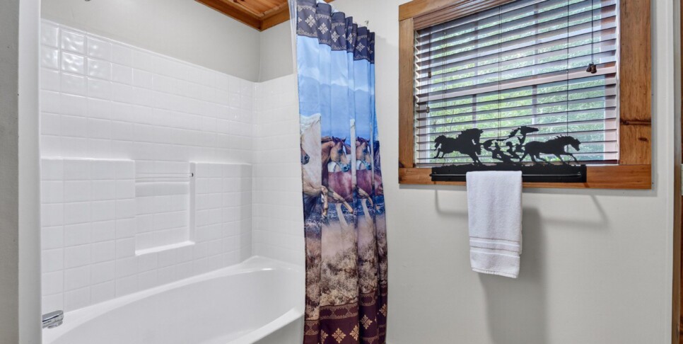 blue-ridge-cabin-rentals-cowboy-cabin-bathroom