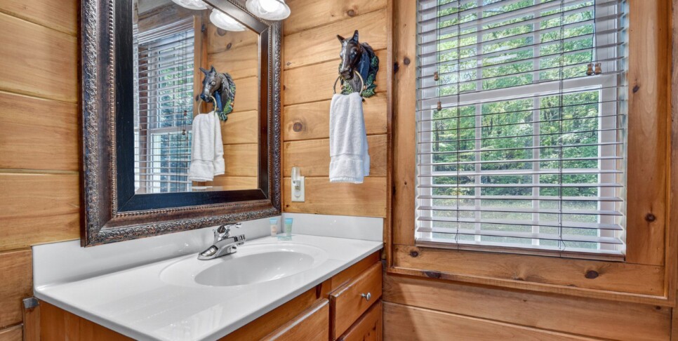 blue-ridge-cabin-rentals-cowboy-cabin-bathroom