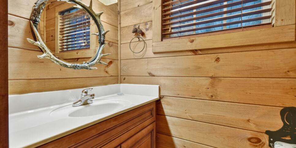 blue-ridge-cabin-rentals-cowboy-cabin-bathroom