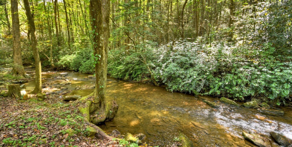 blue-ridge-cabin-rentals-cowboy-cabin-exterior