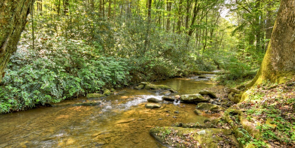 blue-ridge-cabin-rentals-cowboy-cabin-exterior