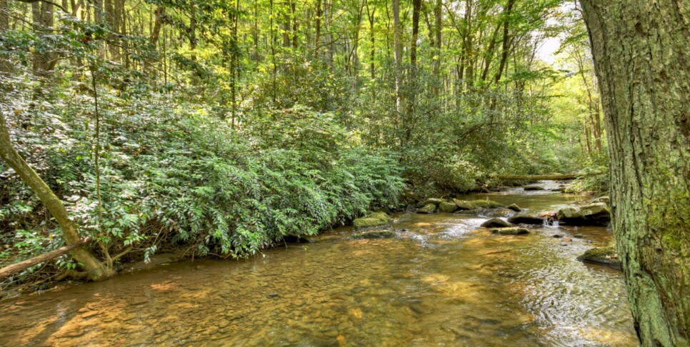 blue-ridge-cabin-rentals-cowboy-cabin-exterior