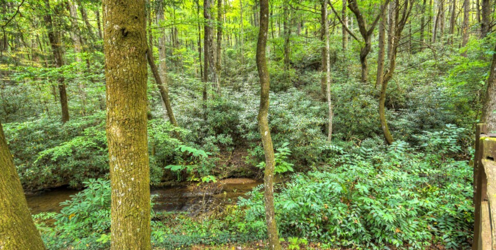 blue-ridge-cabin-rentals-cowboy-cabin-exterior
