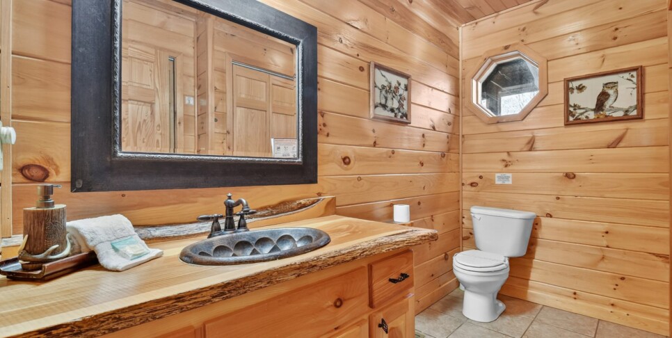 blue ridge amazing mountain bathroom