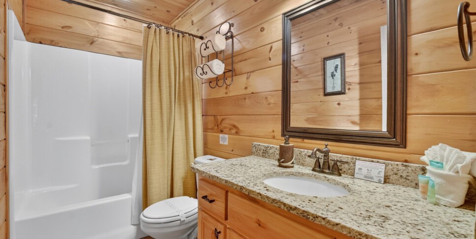 blue ridge amazing mountain bathroom