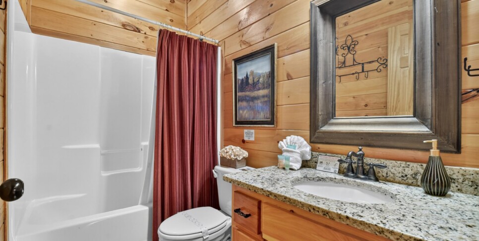 blue ridge amazing mountain bathroom