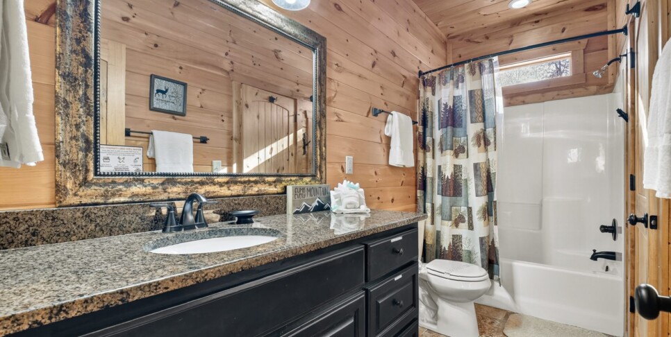 blue ridge awe inspiring mountain view bathroom