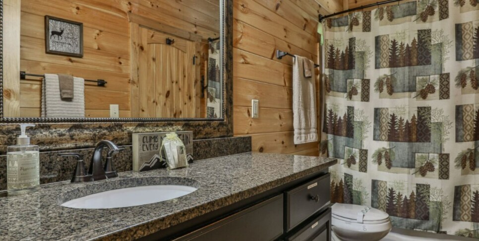 Blue Ridge - Awe-Inspiring Mountain View - Temp Photos