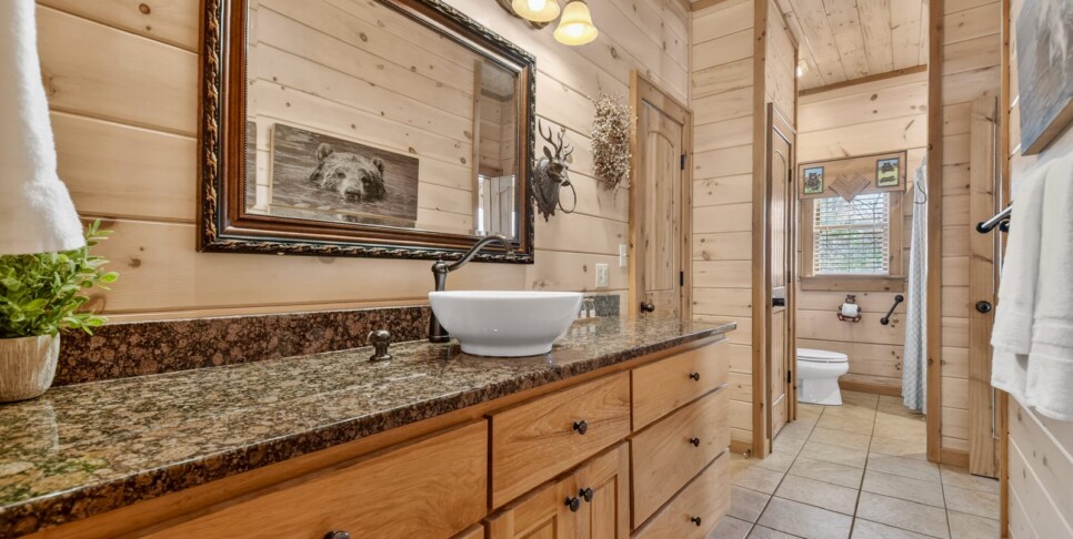 blue ridge kick aska lodge bathroom
