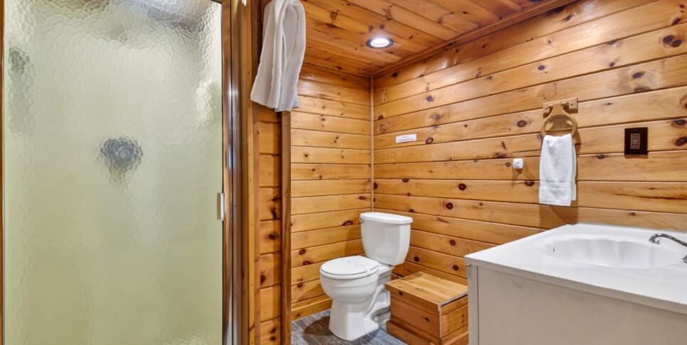 blue ridge wolfpack lodge bathroom