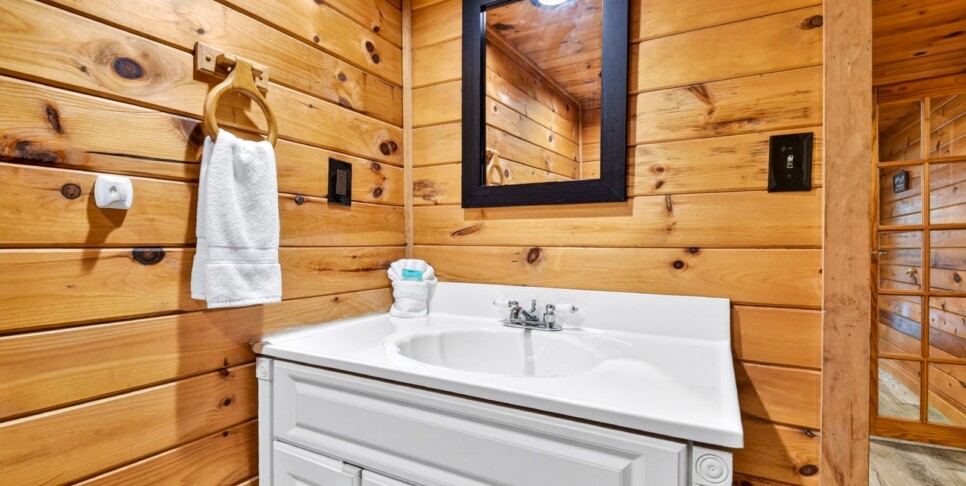 blue ridge wolfpack lodge bathroom