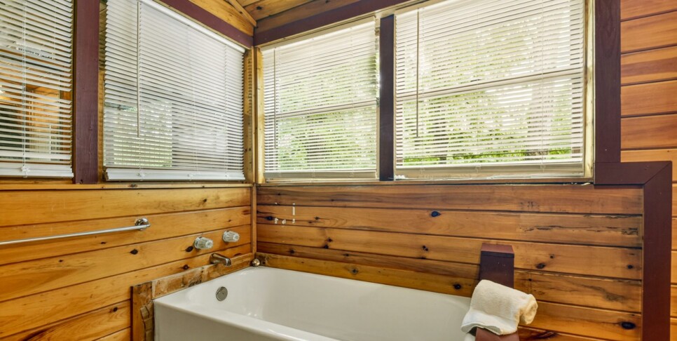 blue ridge wolfpack lodge bathroom