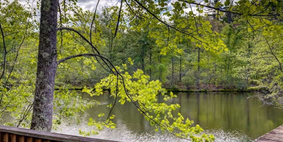 Blue Ridge - Wolfpack Lodge - Temp Photos