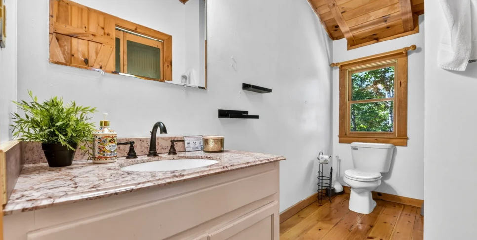 Blue Ridge Chestnut Bearcation Bathroom