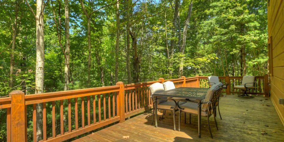 Blue Ridge Chestnut Bearcation Exterior