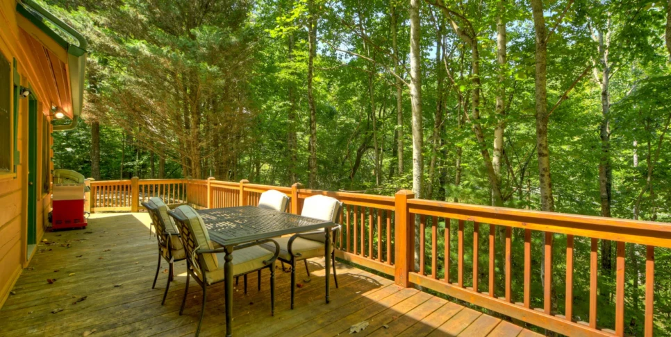Blue Ridge Chestnut Bearcation Exterior