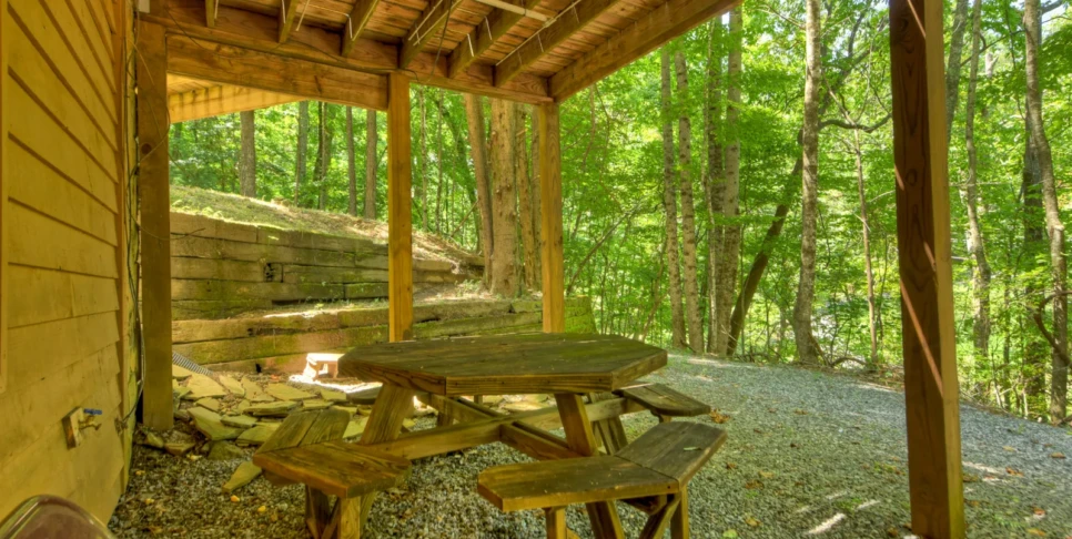 Blue Ridge Chestnut Bearcation Exterior