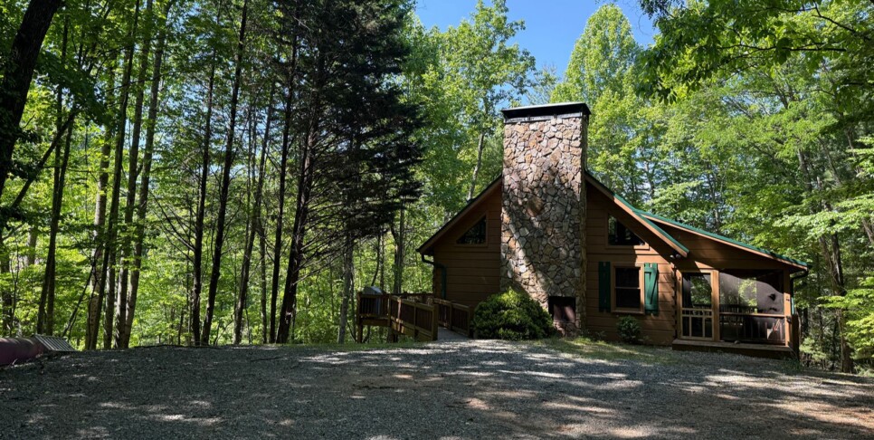 Blue Ridge - Chestnut Bearcation - Temp Photos
