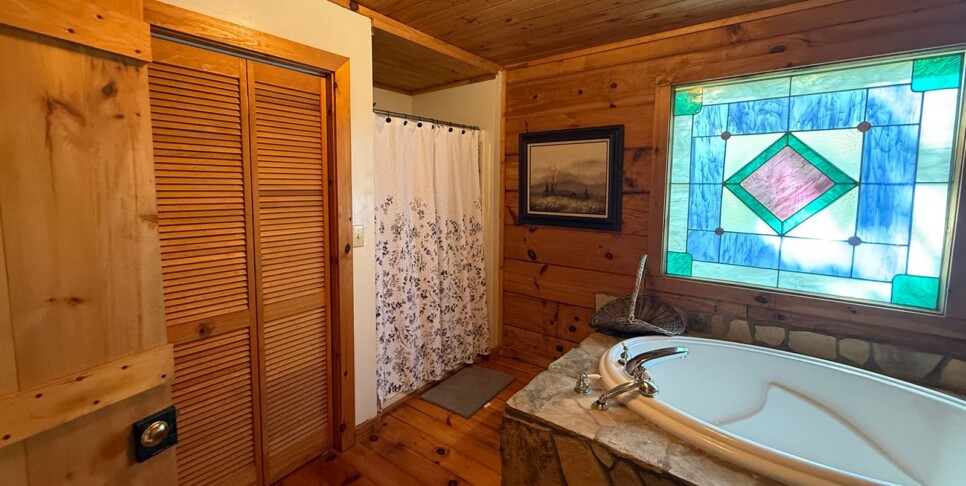 Blue Ridge - Chestnut Bearcation - Temp Photos