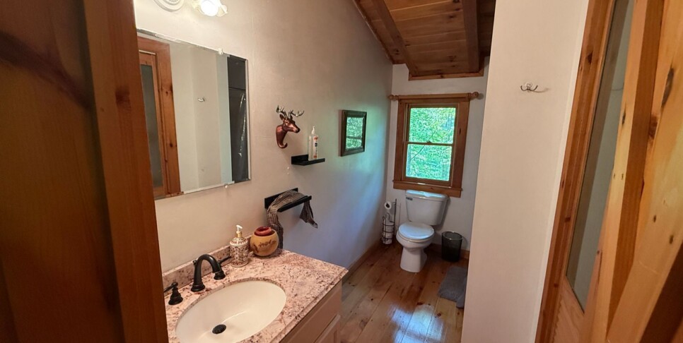 Blue Ridge - Chestnut Bearcation - Temp Photos