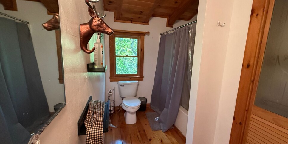 Blue Ridge - Chestnut Bearcation - Temp Photos