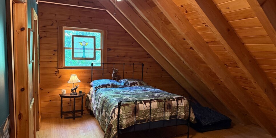 Blue Ridge - Chestnut Bearcation - Temp Photos