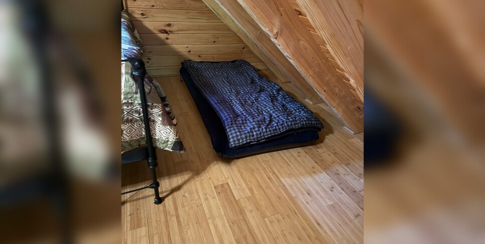 Blue Ridge - Chestnut Bearcation - Temp Photos