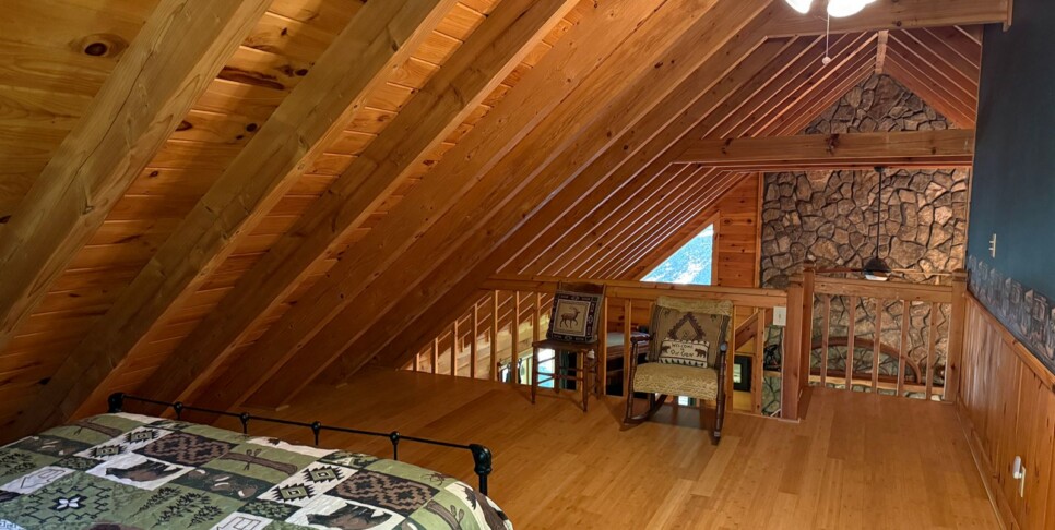 Blue Ridge - Chestnut Bearcation - Temp Photos