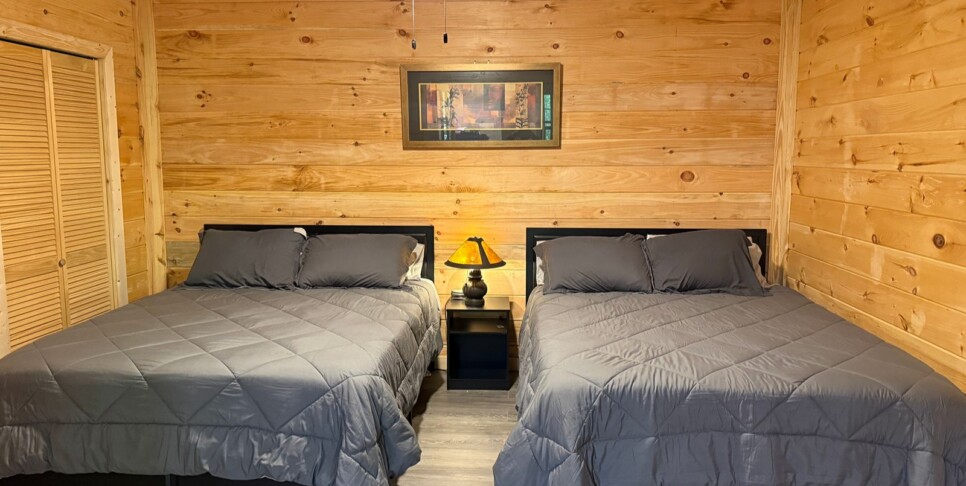 Blue Ridge - Chestnut Bearcation - Temp Photos