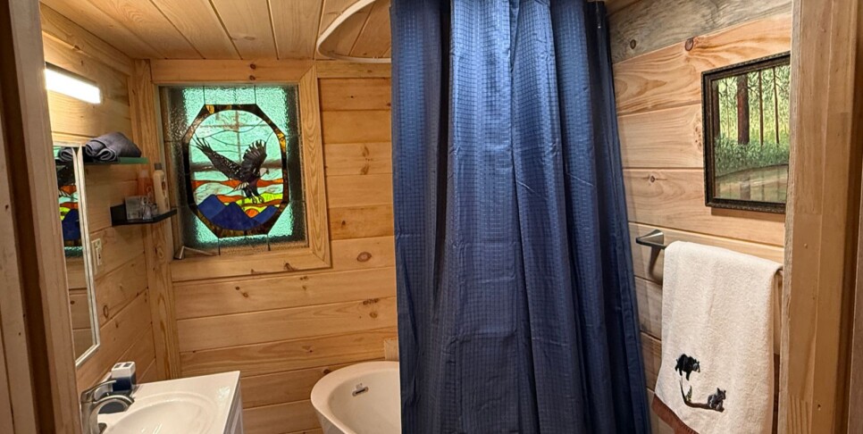 Blue Ridge - Chestnut Bearcation - Temp Photos