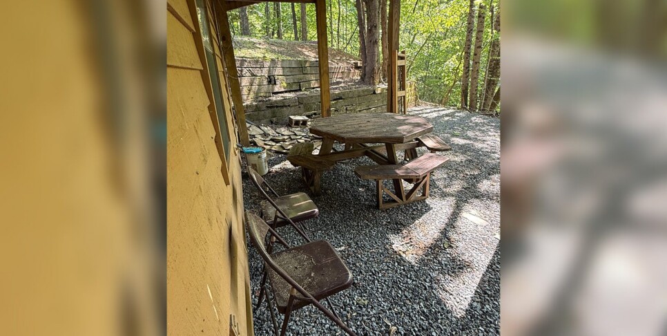 Blue Ridge - Chestnut Bearcation - Temp Photos