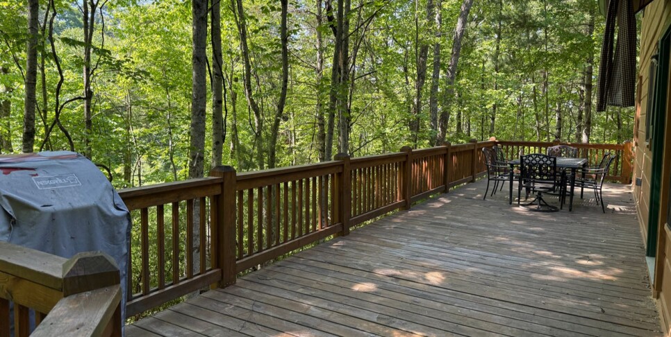 Blue Ridge - Chestnut Bearcation - Temp Photos