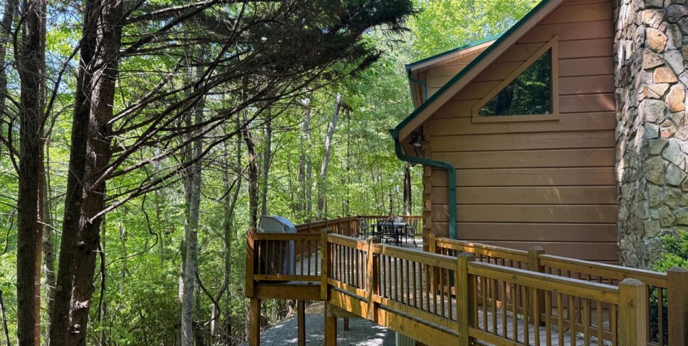 Blue Ridge - Chestnut Bearcation - Temp Photos
