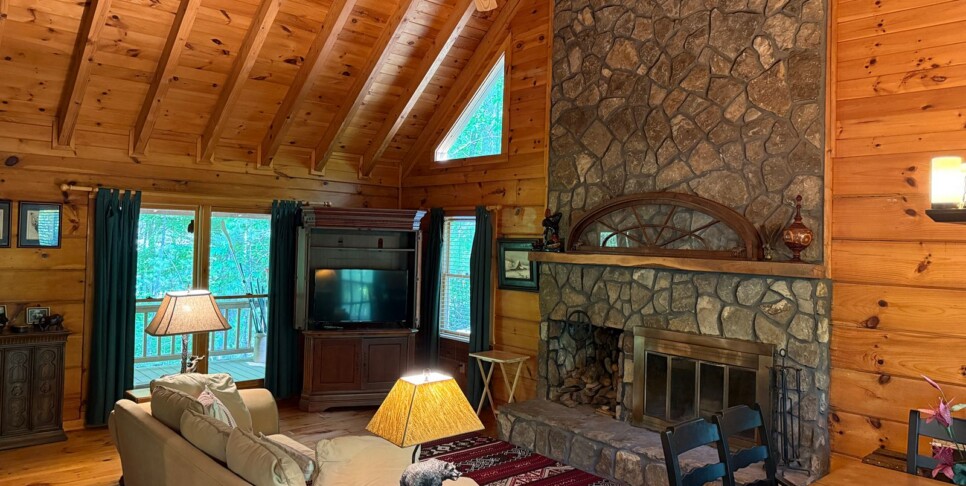 Blue Ridge - Chestnut Bearcation - Temp Photos